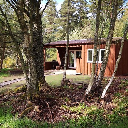 The Cabin At Easter Arr Auldearn Esterno foto
